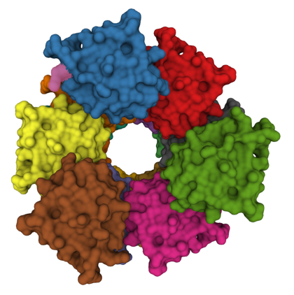 ASC Inflammasome