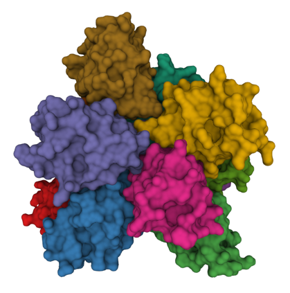 PIDDosome Complex